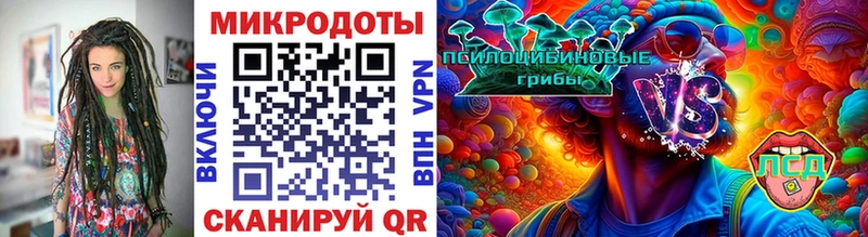 Галлюциногенные грибы MAGIC MUSHROOMS  Северобайкальск 